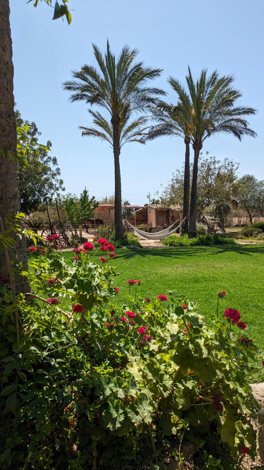 Agroturismo Finca Sant Blai Campos  Exterior photo